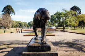 PARQUE CHACABUCO
